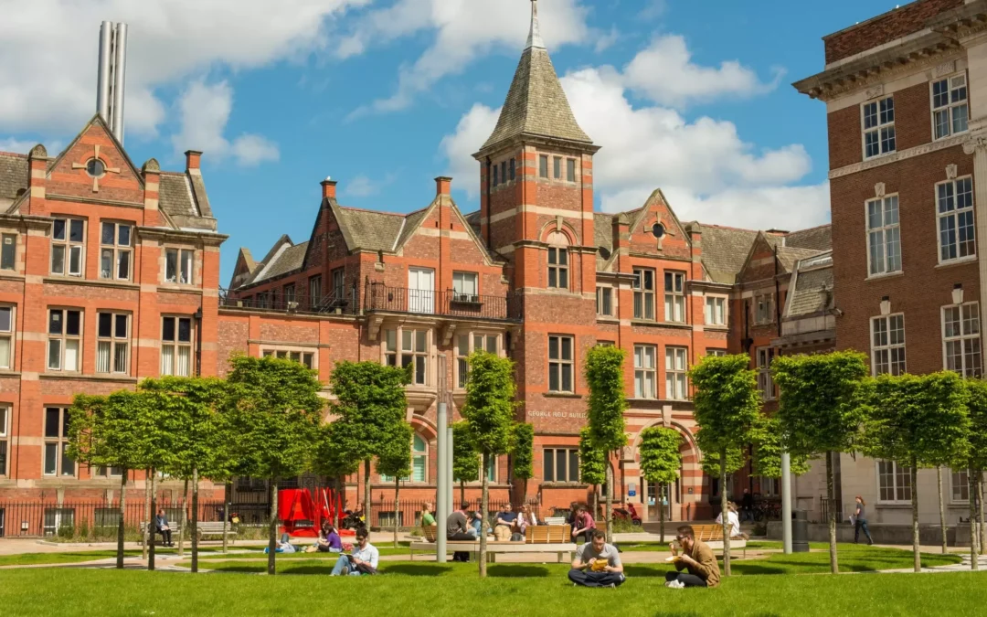 DBA Thesis Writing Help University of Liverpool United Kingdom